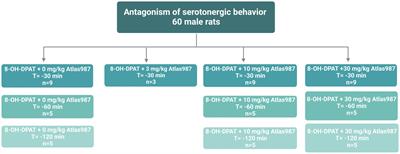 A new approach to ‘on-demand’ treatment of lifelong premature ejaculation by treatment with a combination of a 5-HT1A receptor antagonist and SSRI in rats